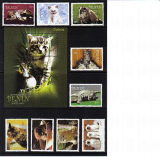Mačky Benin 2003*